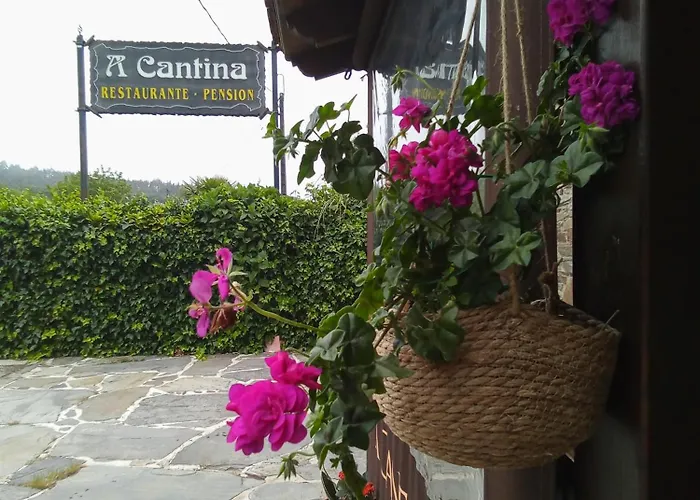 A Cantina Mouromorto